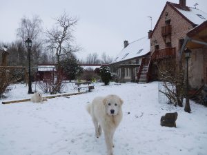DSCN5420